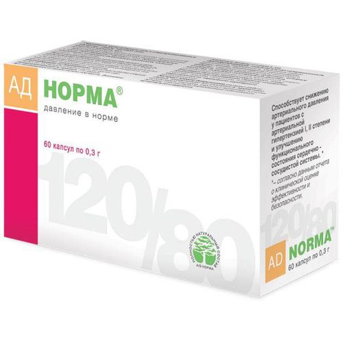 АД Норма