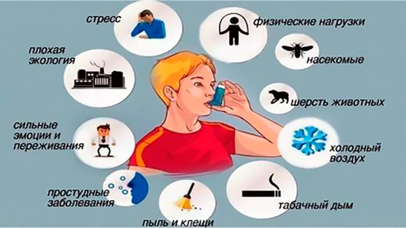 Лечение и профилактика бронхиальной астмы