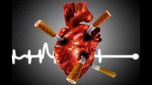 Почему курение — фактор риска №1 для развития сердечно-сосудистых заболеваний?