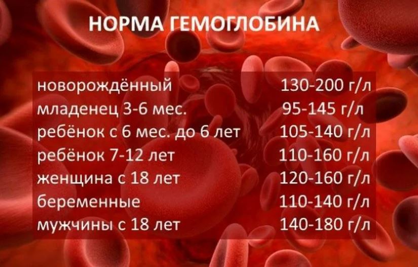 Норма гемоглобина в крови
